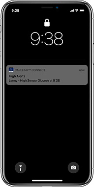Smartphone showing high and low notifications on CareLink Connect app